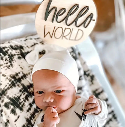 “Hello World” birth announcement sign/plaque